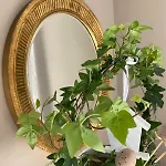 Apartamenty sudeckie nad zalewem III * Sosnówka