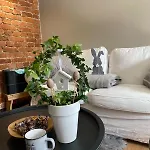 Apartament Apartamenty sudeckie nad zalewem III