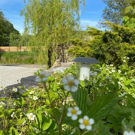 Daire Sudeckie Nad Zalewem Iii *