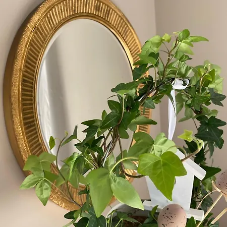 Sudeckie Nad Zalewem Iii * Sosnówka