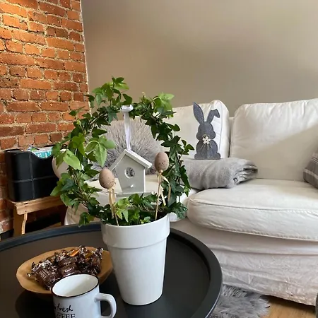 Appartement Sudeckie Nad Zalewem I-iv Miedzy Karpaczem A Szklarska Poreba W Karkonoszach
