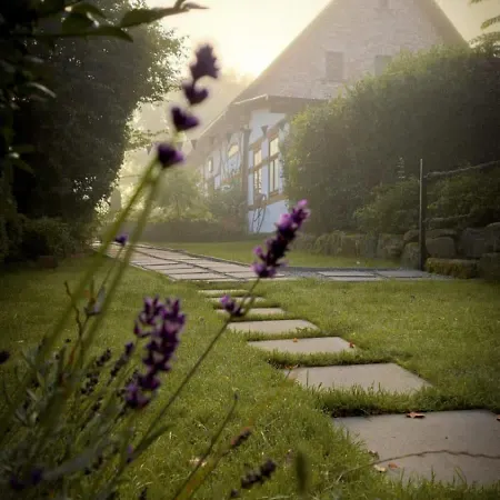 Sudeckie Nad Zalewem Iii Appartement