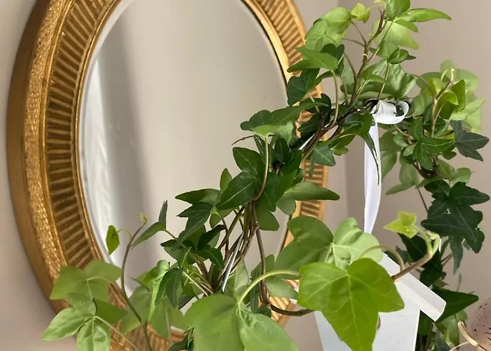 Sudeckie Nad Zalewem Iii * Sosnówka