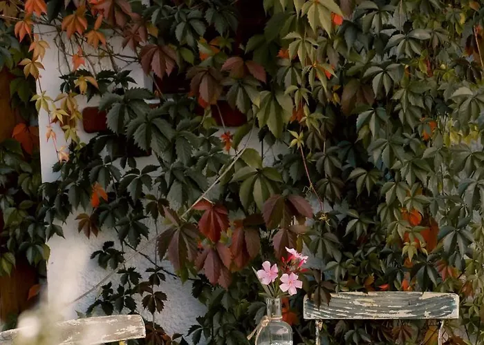 Lejlighed Sudeckie Nad Zalewem Iii *