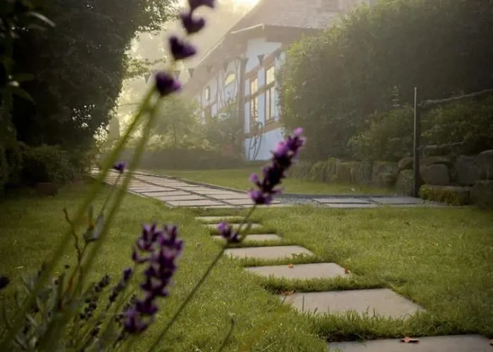 Sudeckie Nad Zalewem Iii Lejlighed